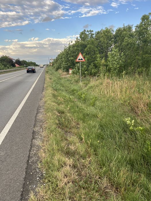 Teren de vanzare Pielesti, 6300 m2, cu descidere 33 de ml , la DN 65, Craiova-Pitesti!