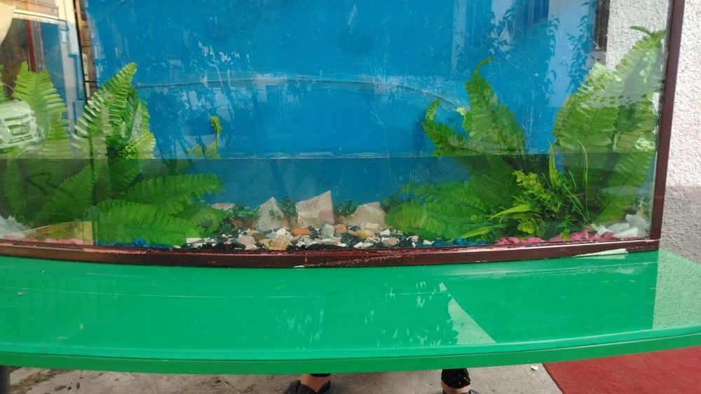 Akvarium stoli bilan sotiladi