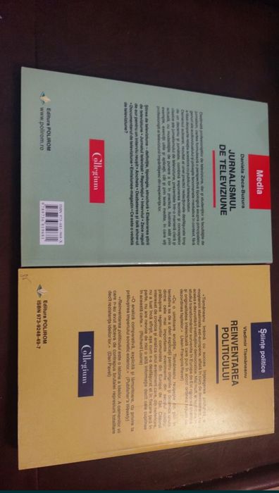 Jurnalism și Reinventarea Politicului