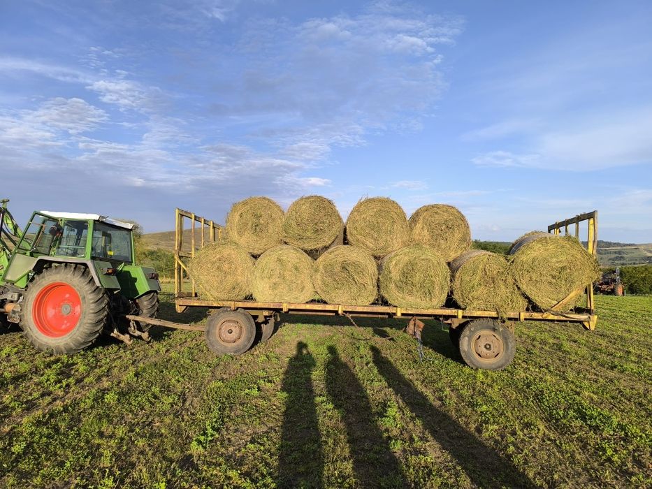 Lucerna calitate extra