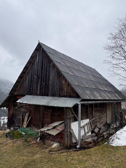 Poiată de vânzare Horea jud. ALBA