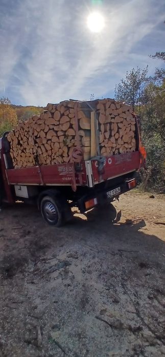 Lemne de foc esență tare fag