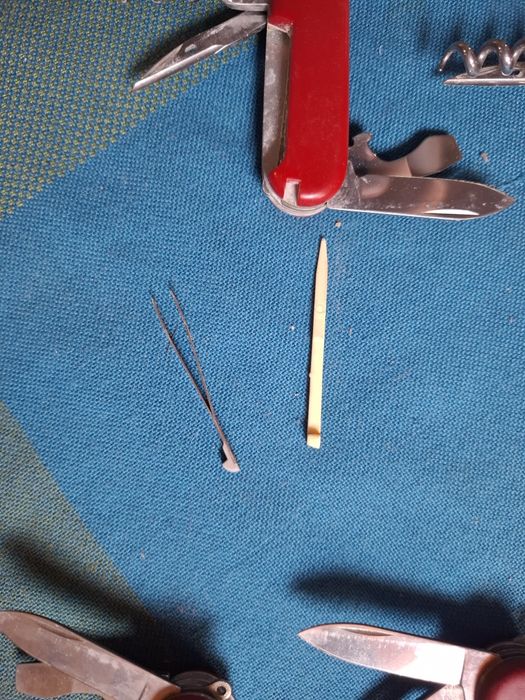 Швейцарски ножки цена 25лв за брой