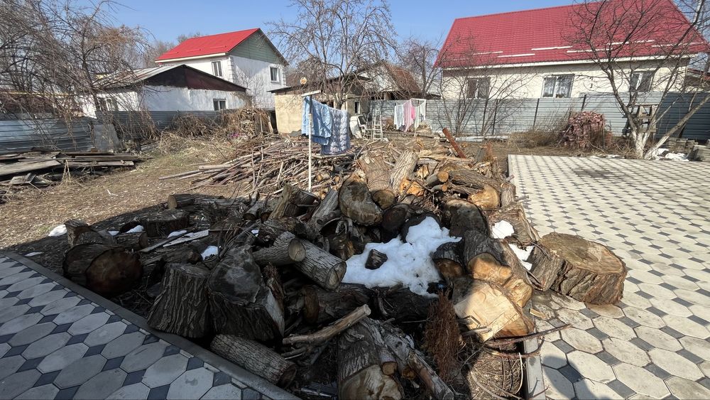 дрова даром бесплатно