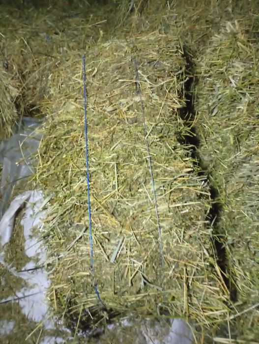 Vând baloți lucernă