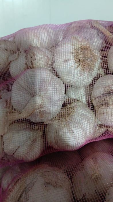 Чеснок свежий производство Китай