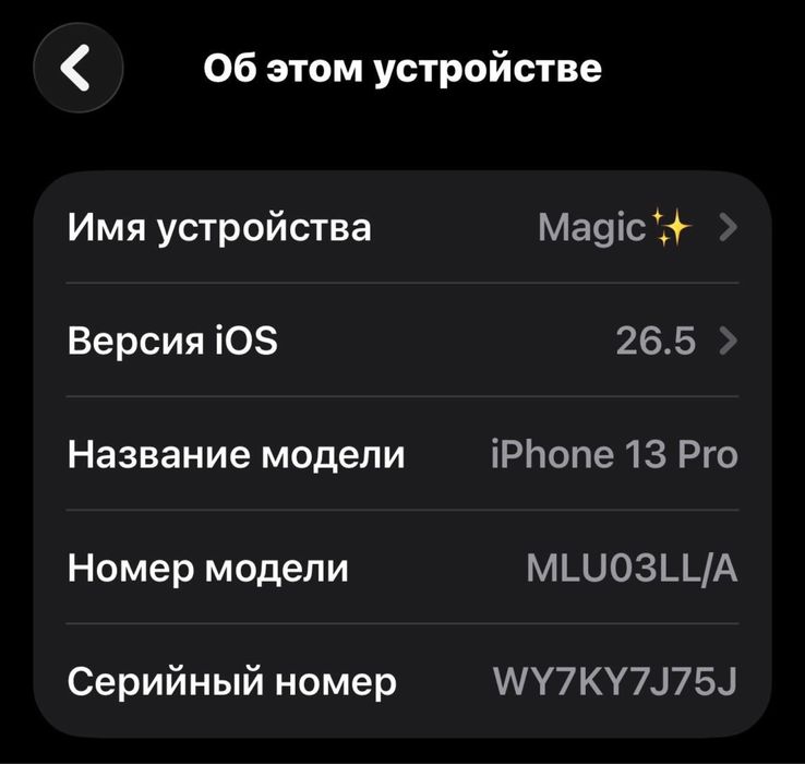 Iphone 13pro 256g