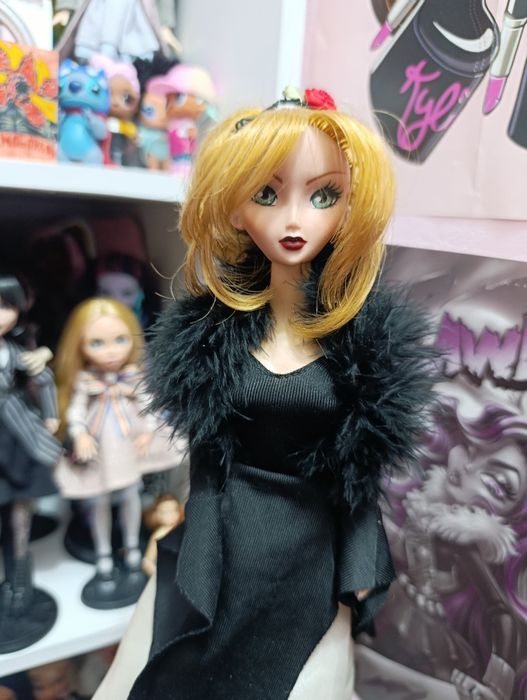 Куклы Барби, монстер хай,лол