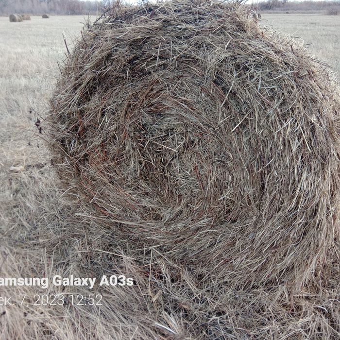 Сено разнотравье  хорошего качества, летнее.