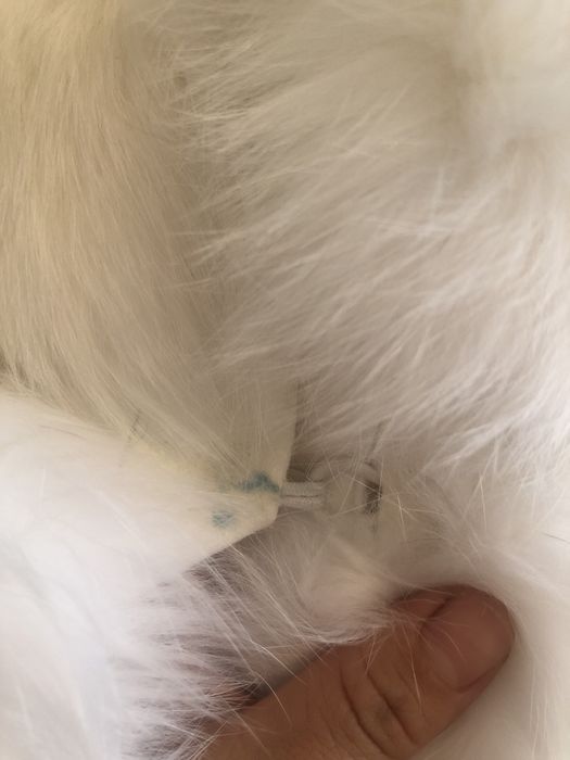 Меховая желетка срочна