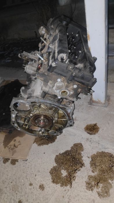 Мотор на акцент 1.4