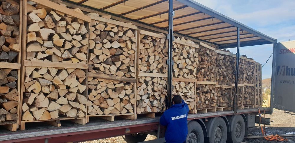 Lemn lemne de foc fag