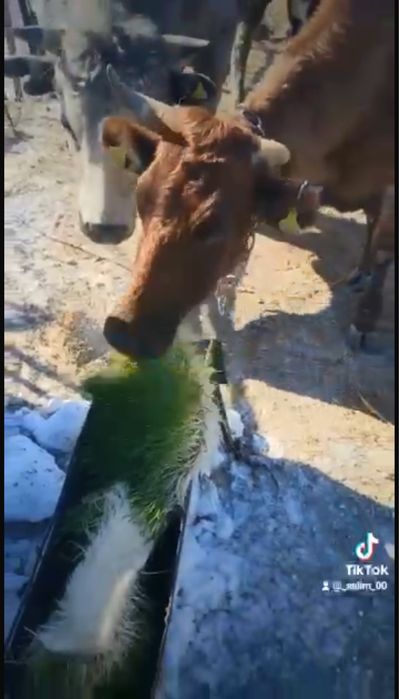 Бизнес в Караганде