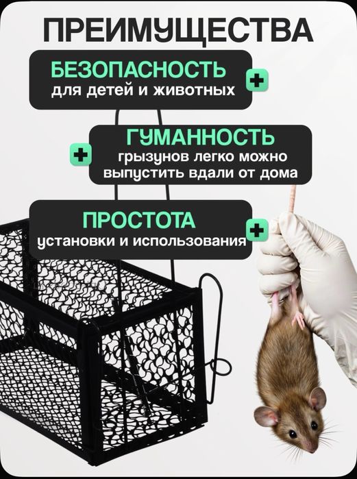 Гуманная мышеловка крысоловка