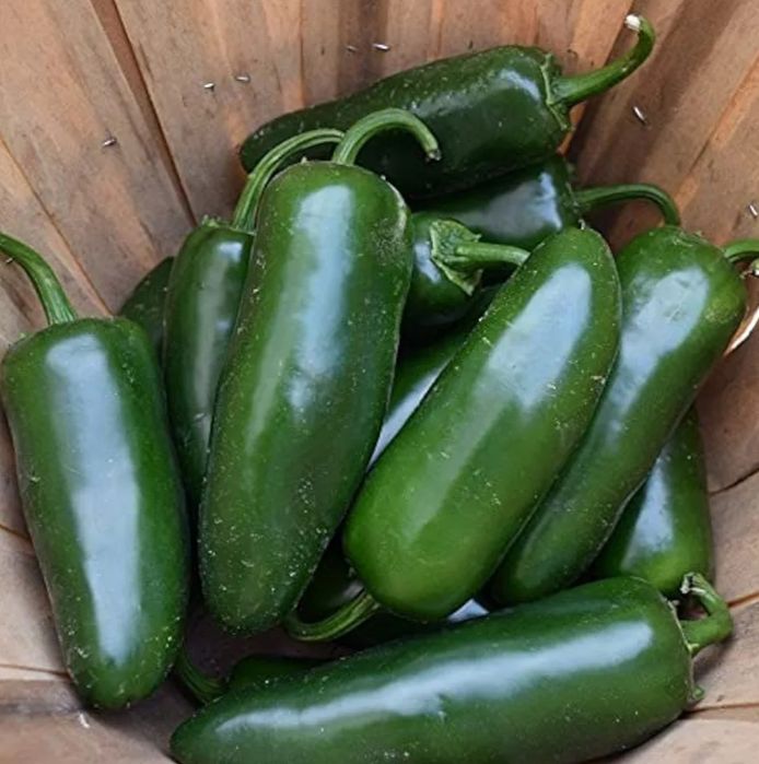 Tehnolig hizmati bibar halapeno kanserva qilish