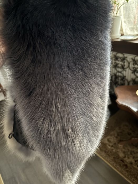 Guler gri degrade vulpe