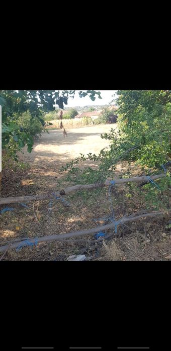 Продава се Парцел в Исперих - 699 кв.м за 23 €/кв.м - Снимка #1