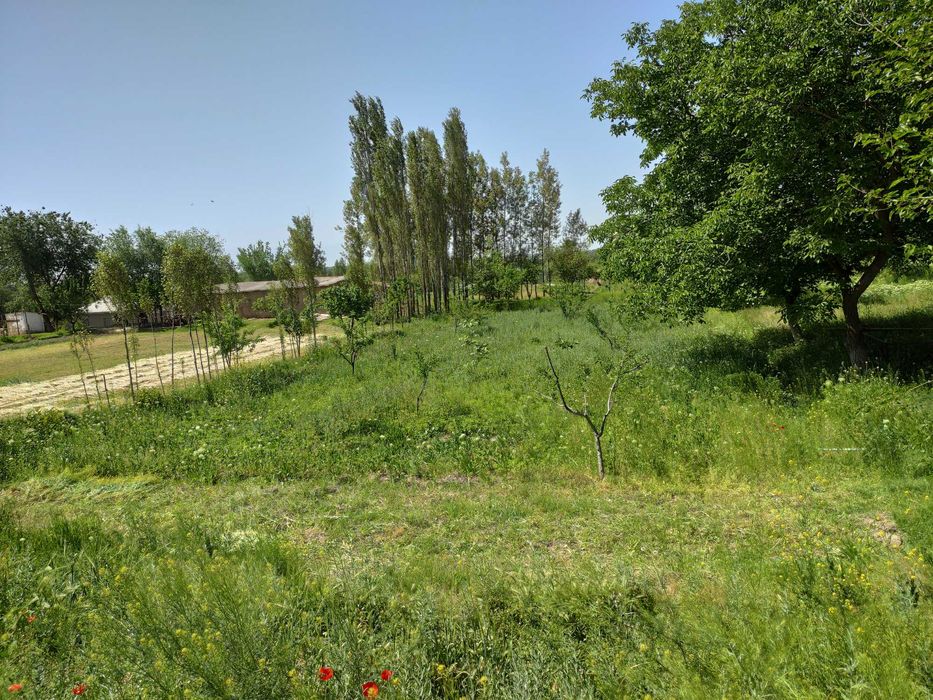 Yer sotiladi 12 sotx Mingchinor,Mingchinormfy Ziynat 3-tor koʻchasi 12