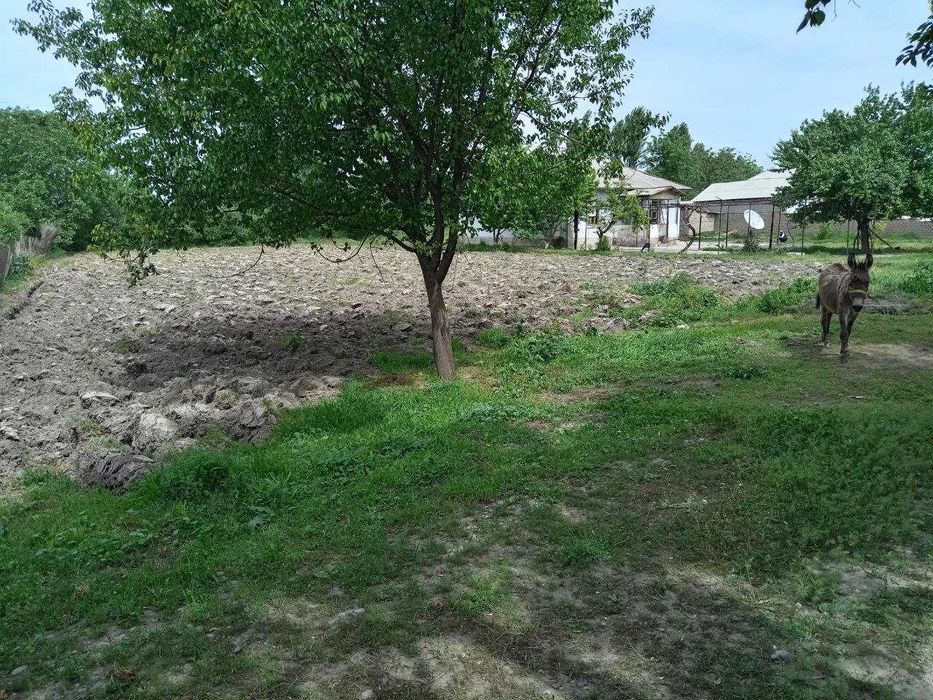 6 комнат, 31 сотка,  Ташкентская область. Свет-Газ-Вода есть