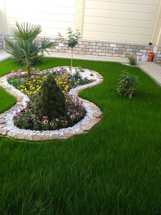 Газон ва гуллар.