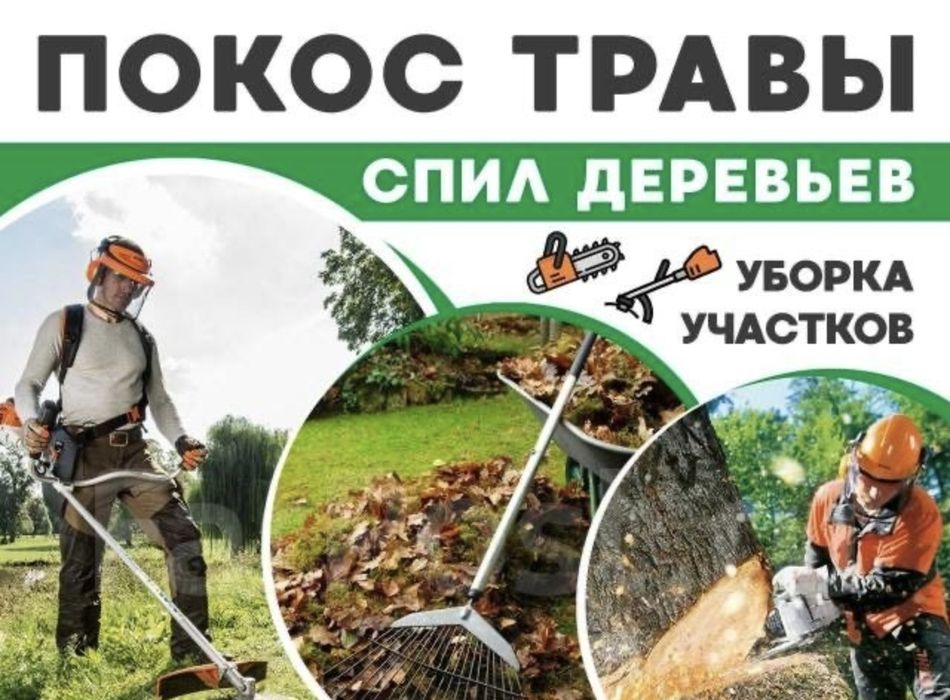 Услуги озеленение проф