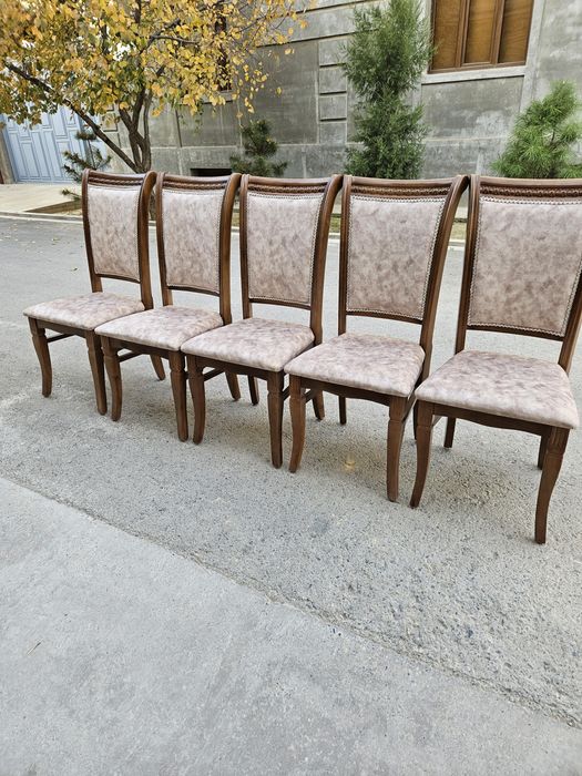 Прокат зонтик. Prokat zontik 24/7 shirma kandisaner Аренда стол стул p