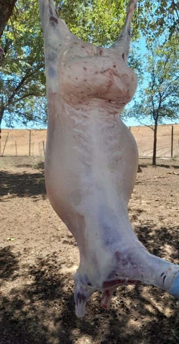 Мал соямын, касапшымын.