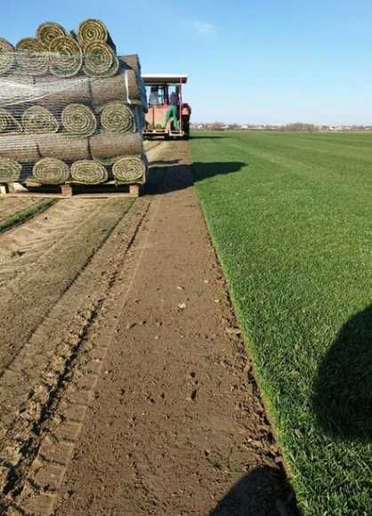 Gazon Rulou si sisteme de Irigare