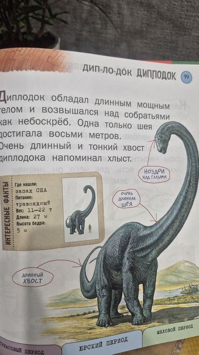 Книга про динозавров