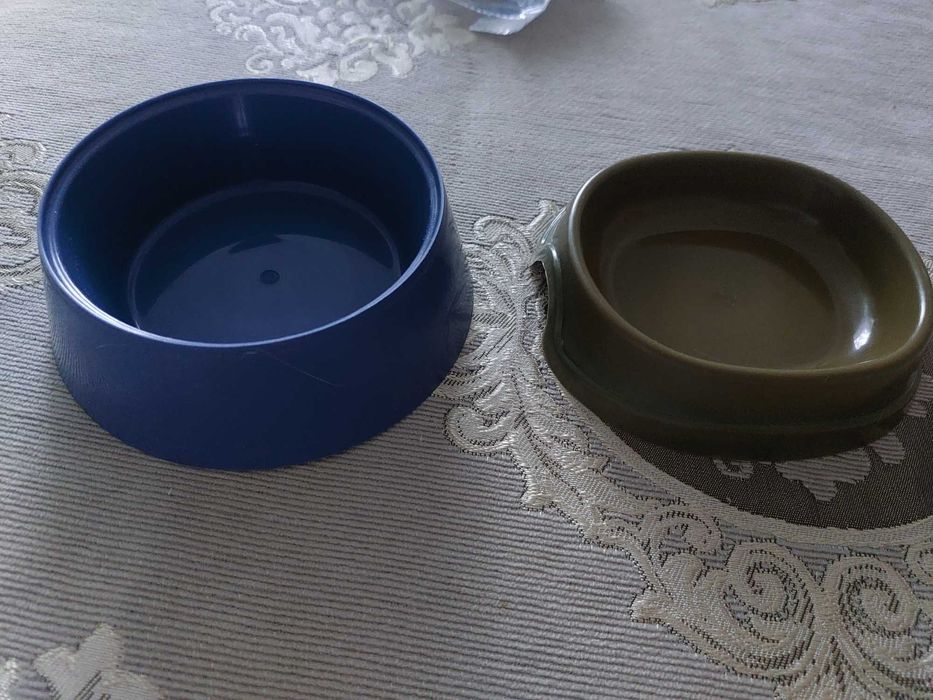 Ошейники для кошек и котят