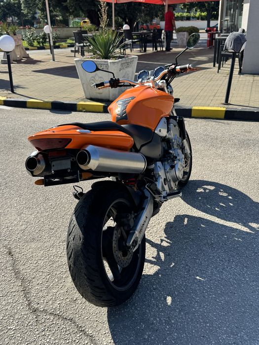 Honda Hornet 919