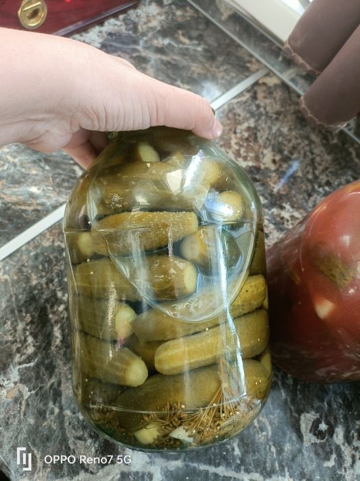 Соленые огурцы,помидоры