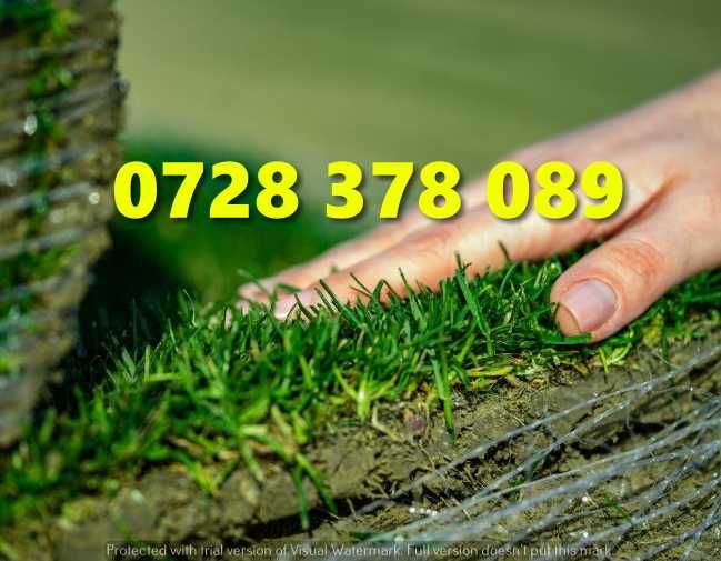 Gazon rulou - Gradina Verde vesnica Garantat ! Firma autorizata