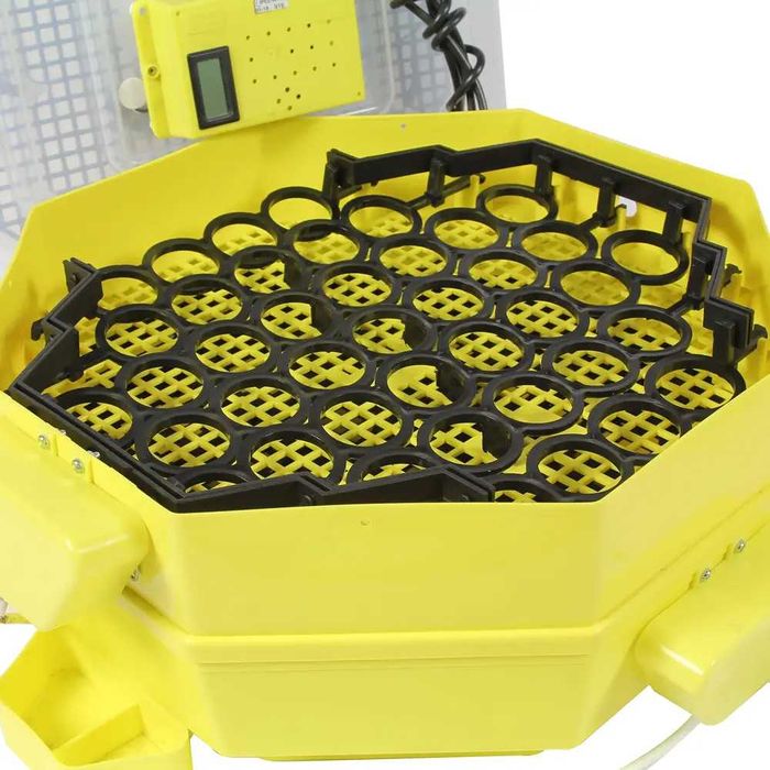 Автоматичен инкубатор за 82 яйца, Cleo 5x2 DTH, директен вносител