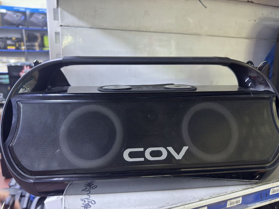 Портативная колонка с 2 микрофонами