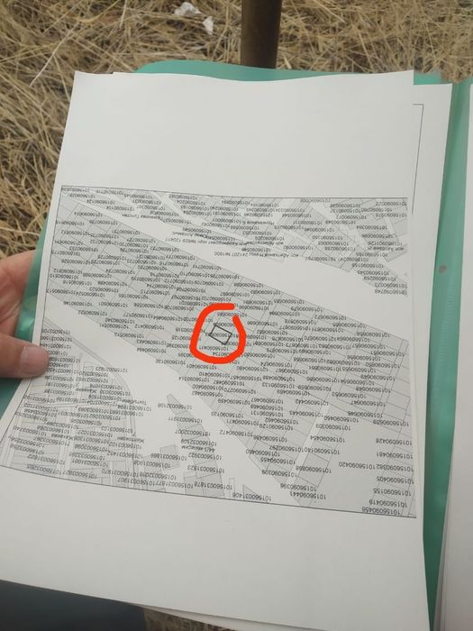 Жер сатылады ЦОН жакта