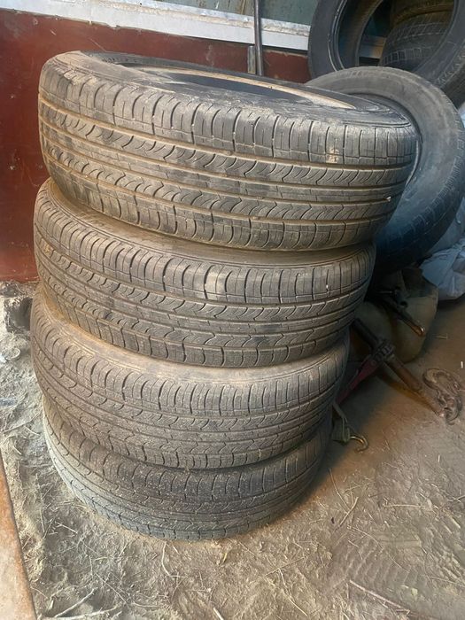 Балон дискисимен