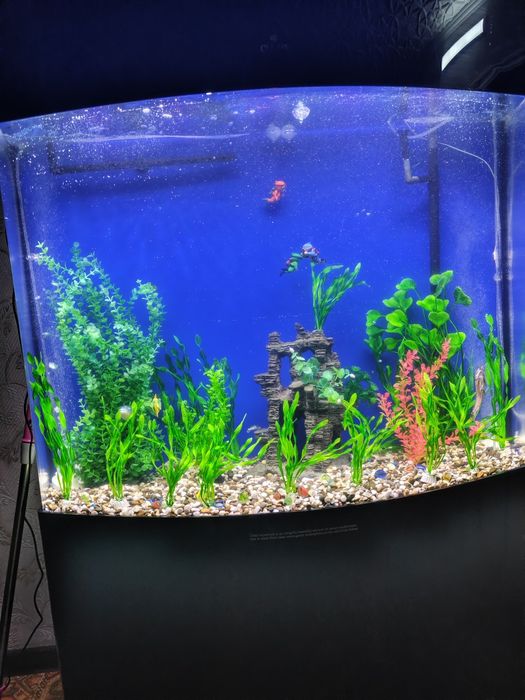 Продам аквариум 250 л.