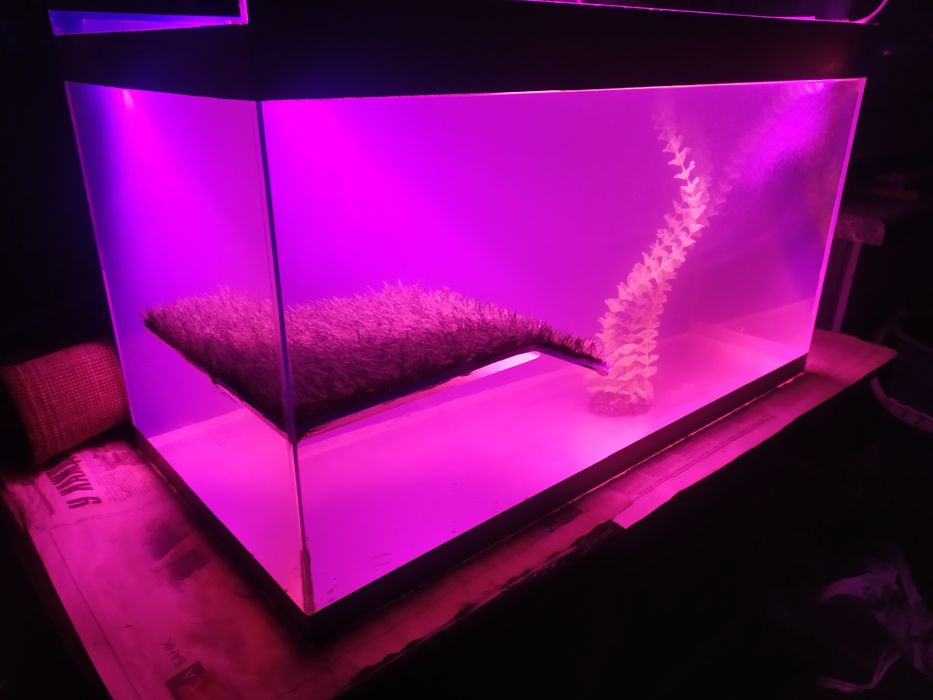 Аквариум с сушей для черепах.