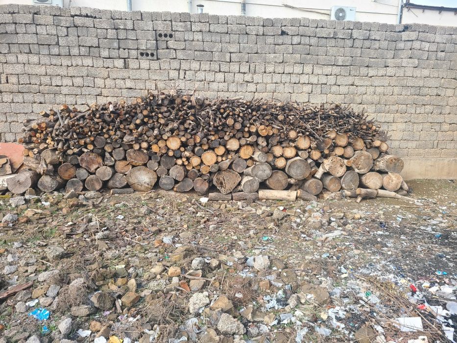 Дрова - Kesilgan ōtin