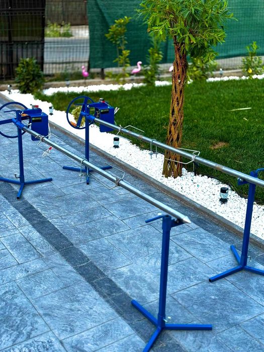 Rotisor Protap electric