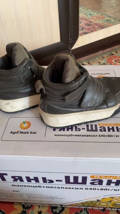 Сапоги  осенние на мальчика