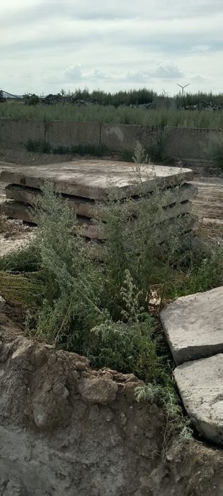 Продам Дорожные плиты.  С доставкой.