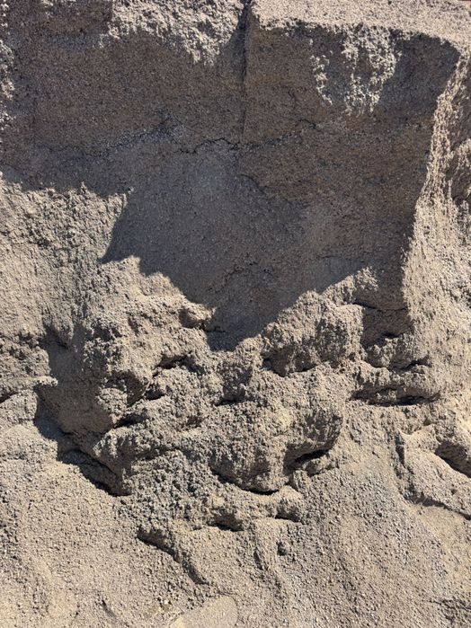 Qum klenes sheben tuproq