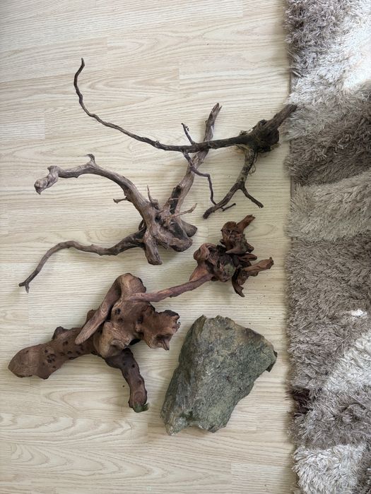 Азалия и Мангров корен за аквариум