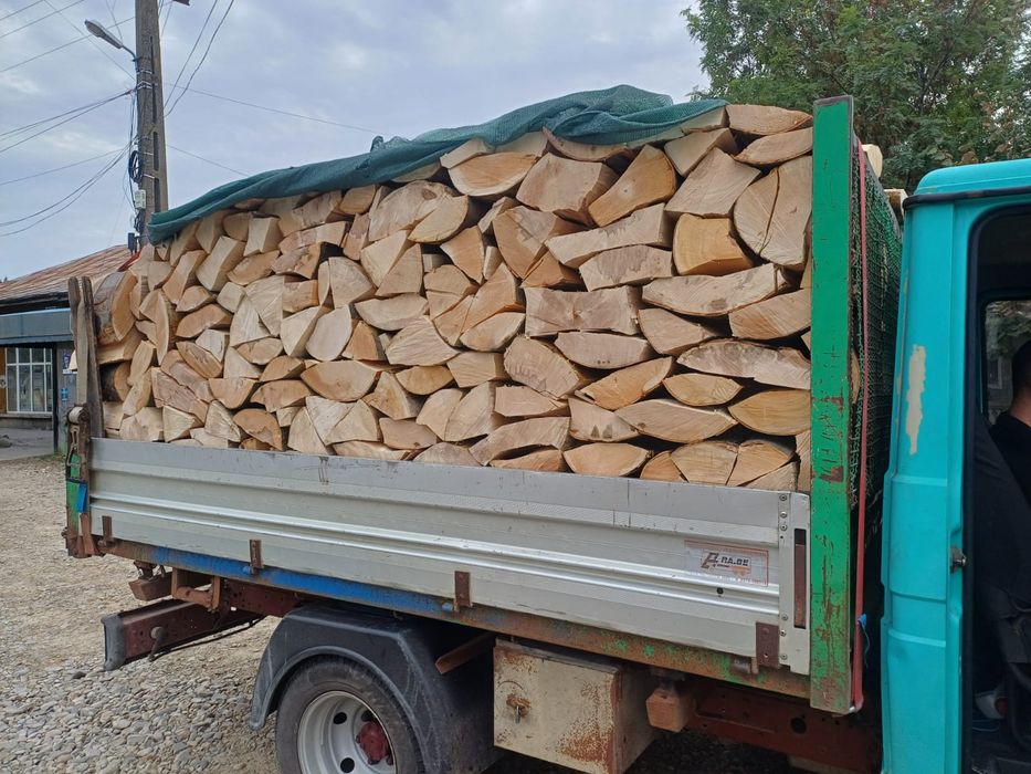 Lemne de foc fag capete uscate sau verzi 600lei tona sau la metru ster