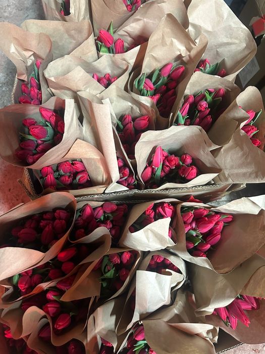 Тюльпаны по 400