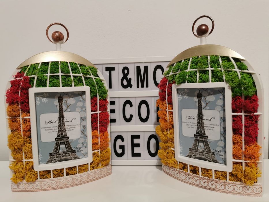 Rama foto colivie cu licheni stabilizati