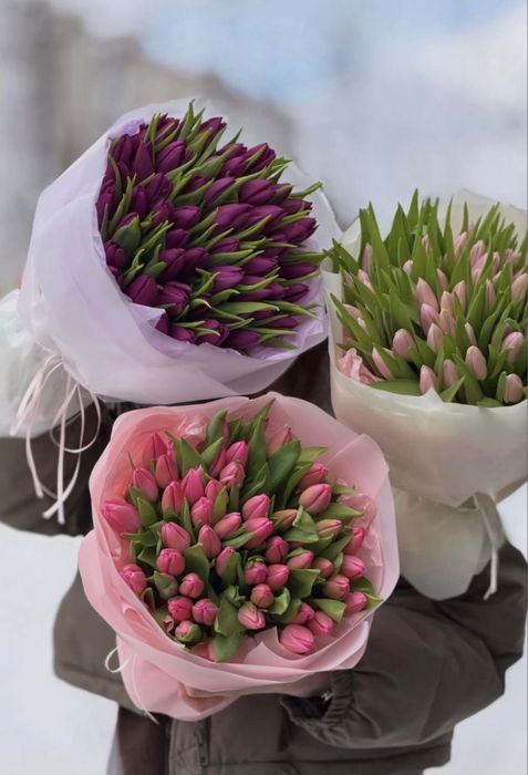 Тюльпаны оптом и в розницу