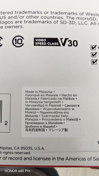 Sandisk high endurance microsd 256gb